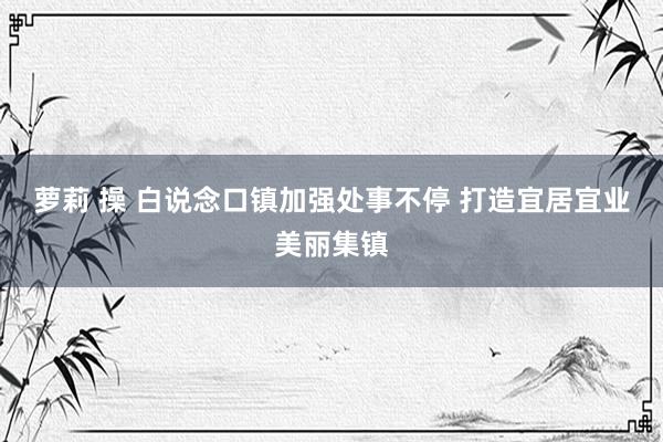 萝莉 操 白说念口镇加强处事不停 打造宜居宜业美丽集镇