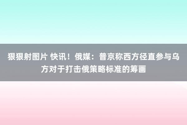 狠狠射图片 快讯！俄媒：普京称西方径直参与乌方对于打击俄策略标准的筹画