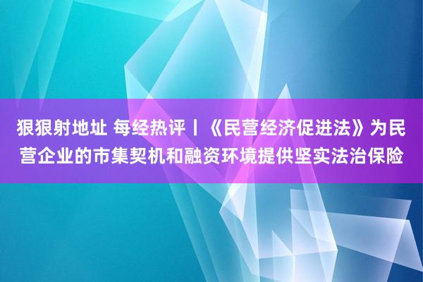 狠狠射地址 每经热评丨《民营经济促进法》为民营企业的市集契机和融资环境提供坚实法治保险