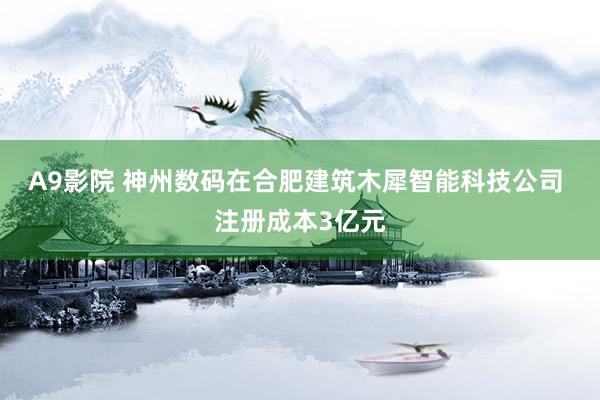 A9影院 神州数码在合肥建筑木犀智能科技公司 注册成本3亿元
