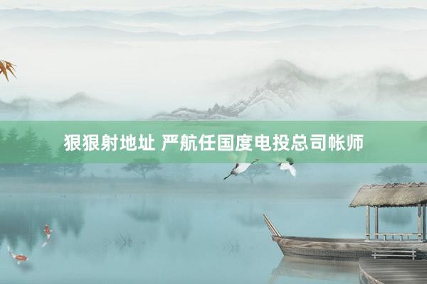 狠狠射地址 严航任国度电投总司帐师