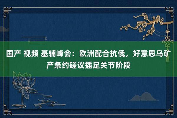 国产 视频 基辅峰会：欧洲配合抗俄，好意思乌矿产条约磋议插足关节阶段