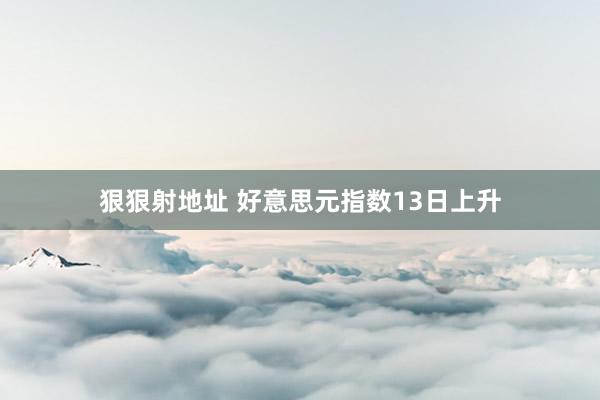 狠狠射地址 好意思元指数13日上升
